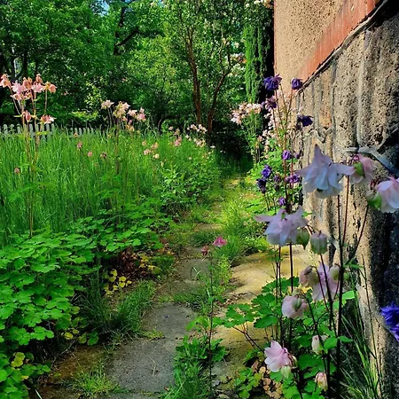 Daire Przystanek W Kolorach Swiata Jelenia Gora