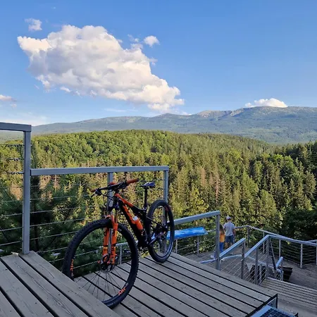 Daire Przystanek W Kolorach Swiata *