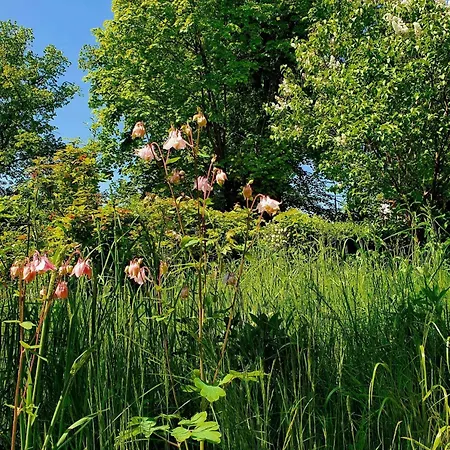 Przystanek W Kolorach Swiata Apartment