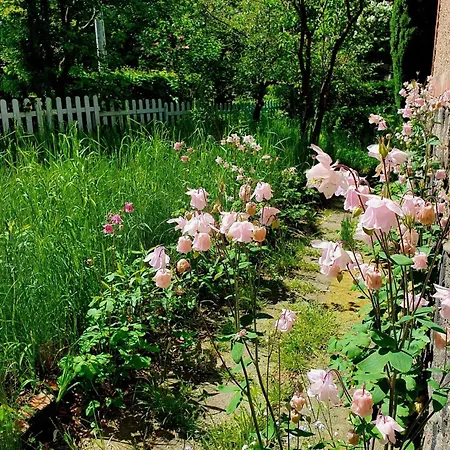 Przystanek W Kolorach Swiata Daire *