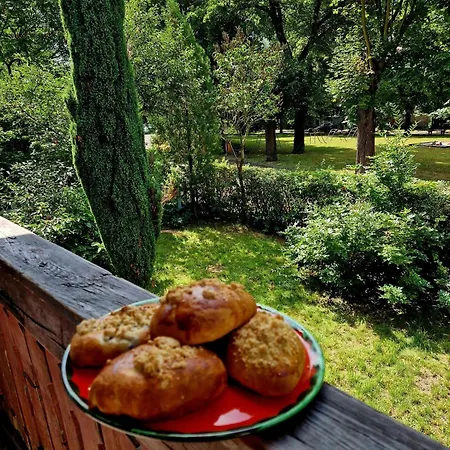 Przystanek W Kolorach Swiata Lejlighed Jelenia Góra