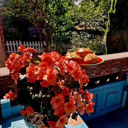 Przystanek W Kolorach Swiata * Jelenia Gora