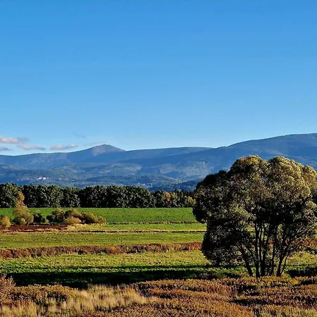 Przystanek W Kolorach Swiata Daire *