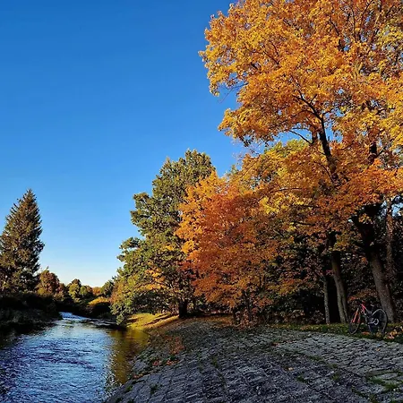 Daire Przystanek W Kolorach Swiata