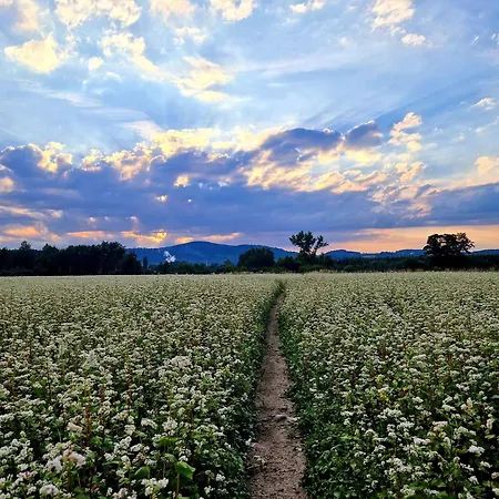 Przystanek W Kolorach Swiata *