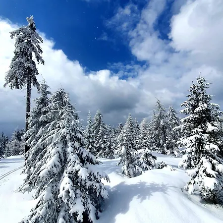 Przystanek W Kolorach Swiata Apartment Jelenia Gora