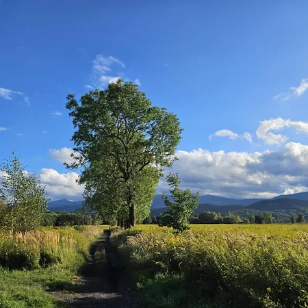 Daire Przystanek W Kolorach Swiata