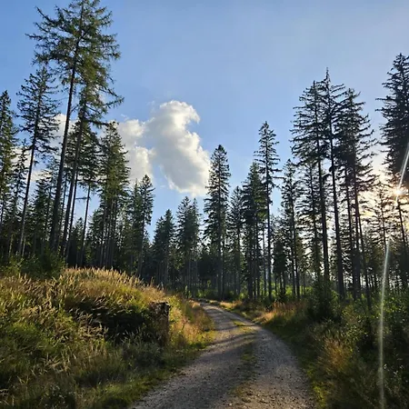 Przystanek W Kolorach Swiata Jelenia Gora