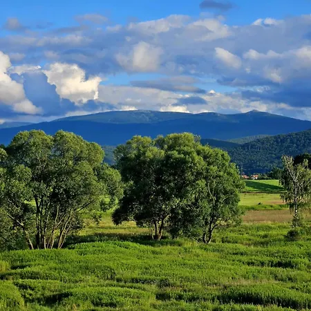 Przystanek W Kolorach Swiata *