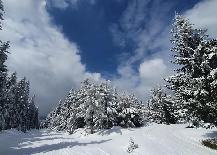 Apartment Przystanek W Kolorach Swiata Jelenia Gora