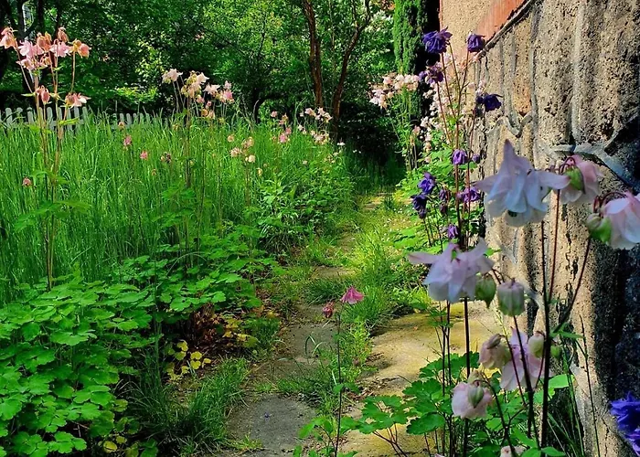 Daire Przystanek W Kolorach Swiata Jelenia Gora