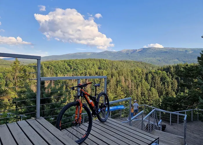 Daire Przystanek W Kolorach Swiata *