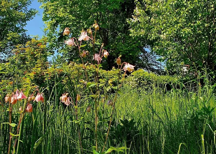 Przystanek W Kolorach Swiata Daire