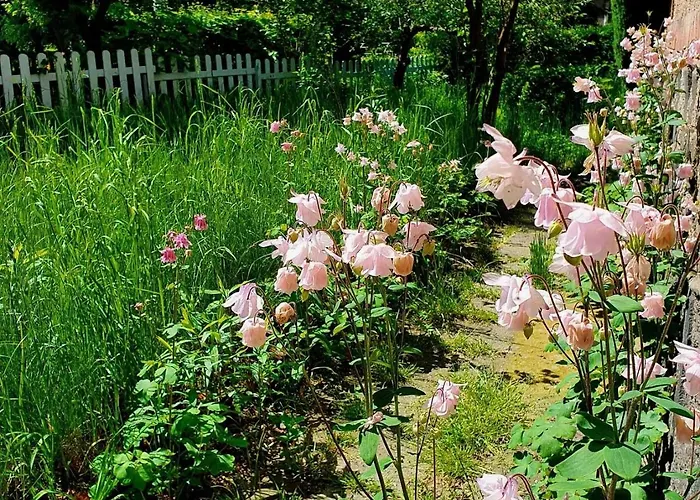 Przystanek W Kolorach Swiata Daire *