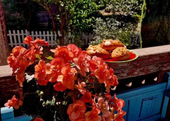 Przystanek W Kolorach Swiata * Jelenia Gora