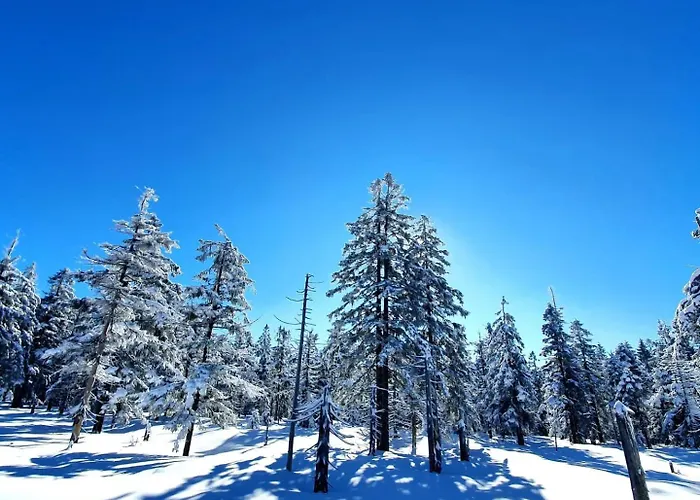 Apartment Przystanek W Kolorach Swiata