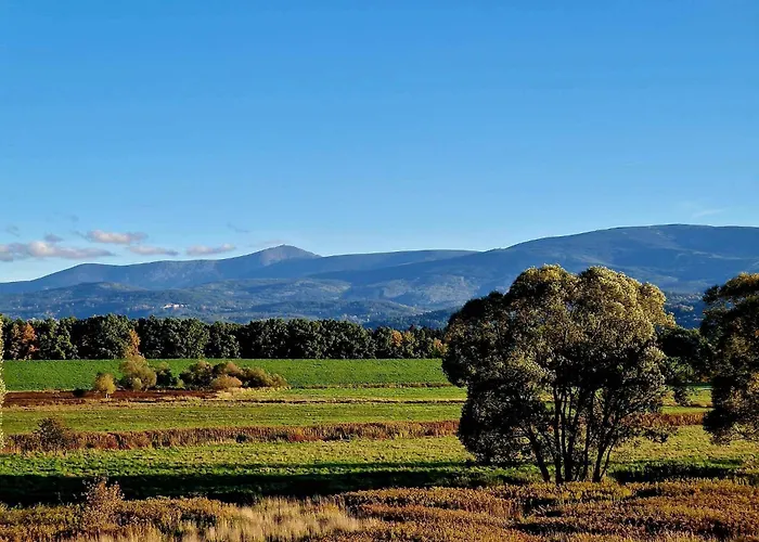 Przystanek W Kolorach Swiata Daire *