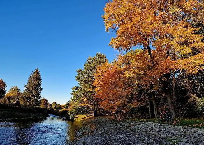 Daire Przystanek W Kolorach Swiata