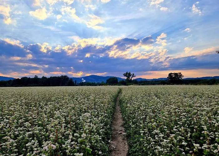 Przystanek W Kolorach Swiata *