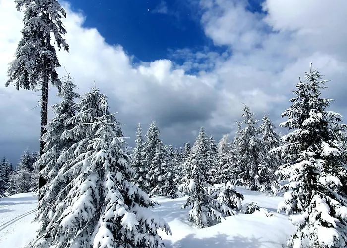 Przystanek W Kolorach Swiata Daire Jelenia Gora