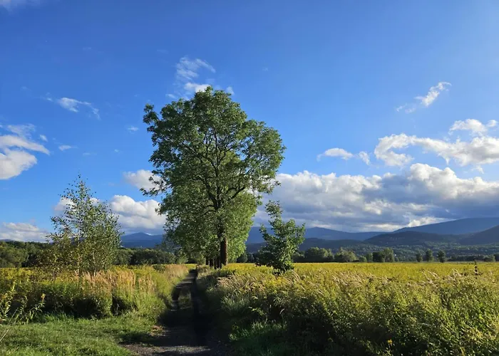 Daire Przystanek W Kolorach Swiata