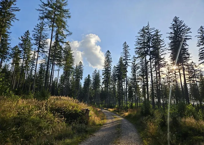 Przystanek W Kolorach Swiata Jelenia Gora