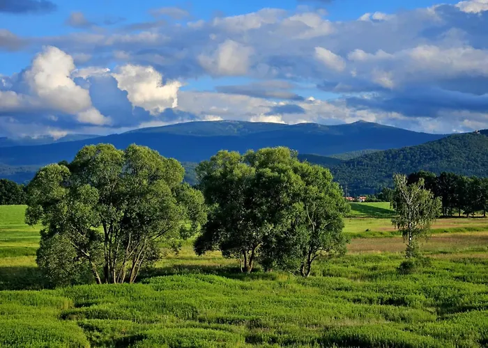 Przystanek W Kolorach Swiata *